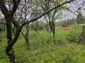 thumb_373_20250427_100754.jpg 