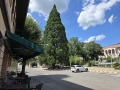 thumb_388_20260715_152953.jpg 