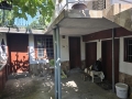 thumb_389_20260722_100953.jpg 