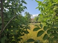 thumb_390_20260722_182308.jpg 