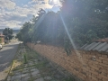 thumb_390_20260722_182531.jpg 
